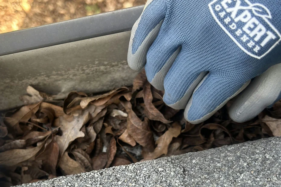 Colleyville Gutter Cleaning